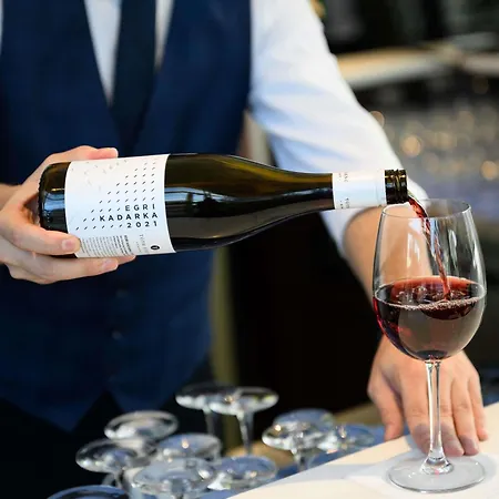 ホテル ノボテル シティ ブダペスト