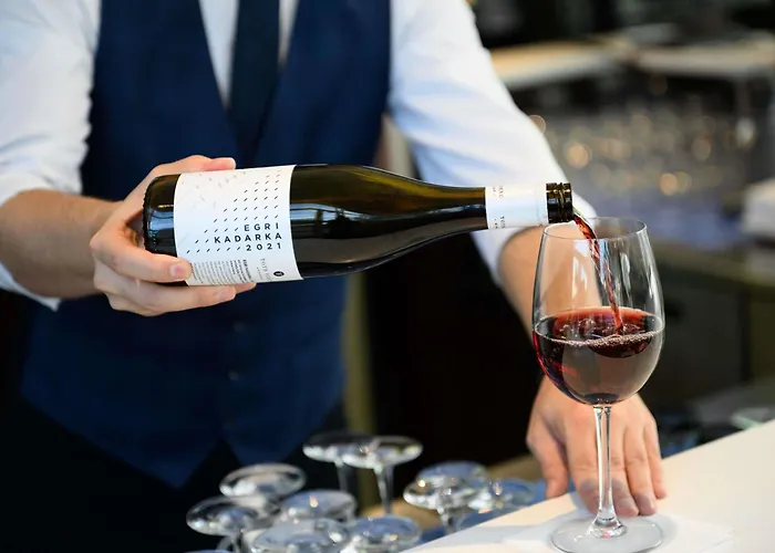 Hotel Novotel Budapesta